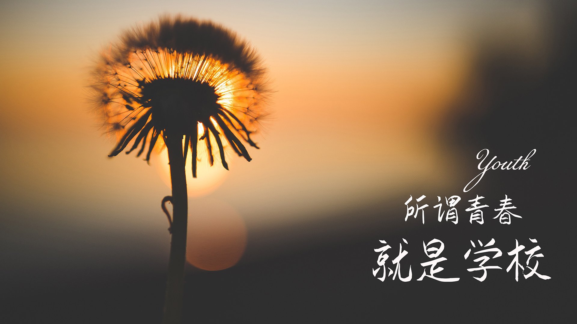 爱游戏 电竞-_无人机竞技比赛:空中飞行的科技盛事_,无人机竞赛项目
