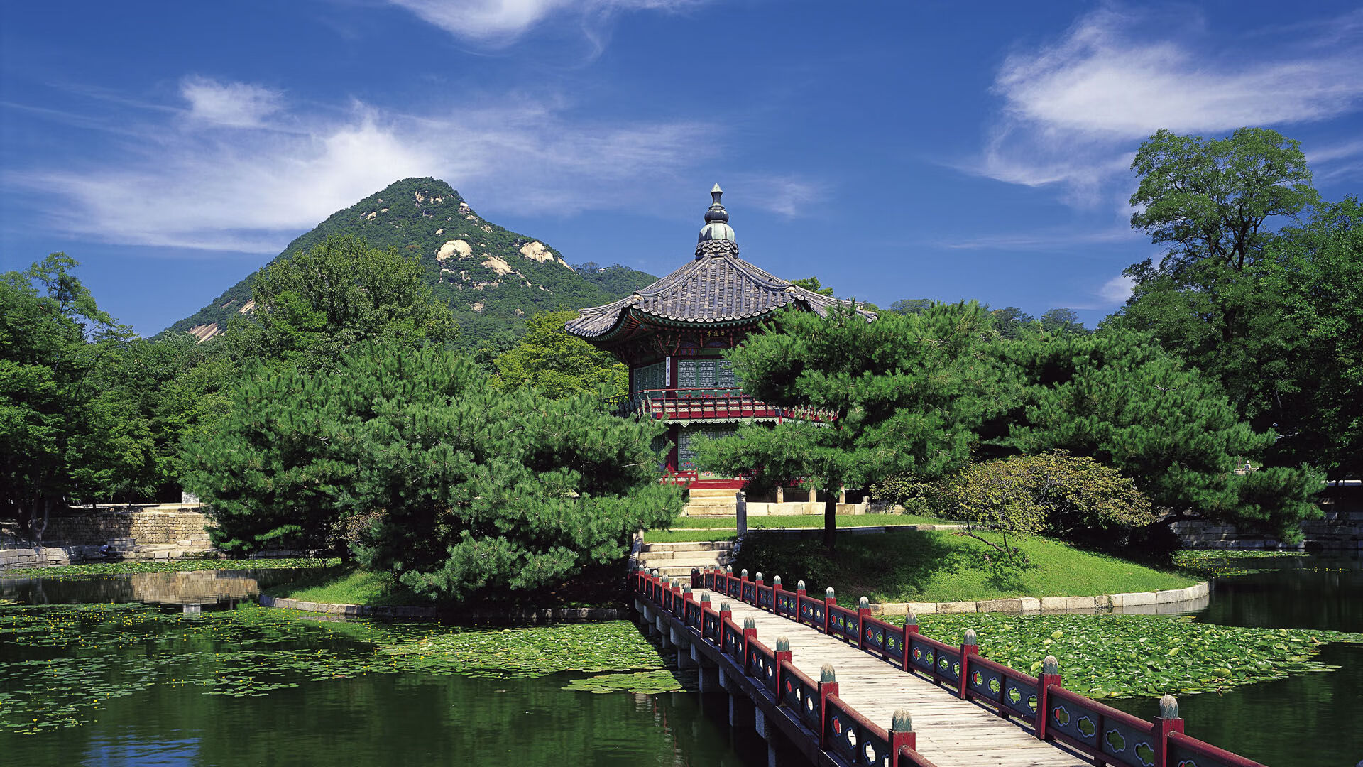 爱游戏综合娱乐-“未来之星：全国青少年足球精英赛引人关注”，校园足球未来之星申报材料2020年