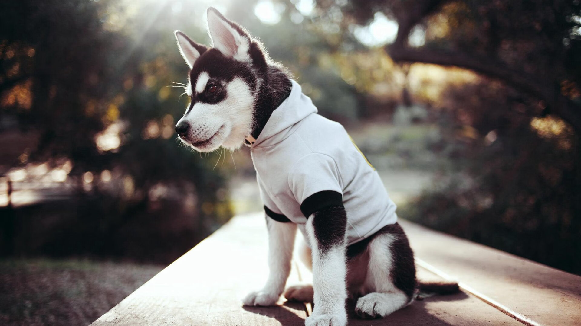 AYX体育-乡村特色陶艺运动会，文化与运动共存，陶艺活动